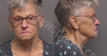 WELLS,KAREN LYNNE | 2022-10-02 09:20:00 Saline County, Kansas Booking