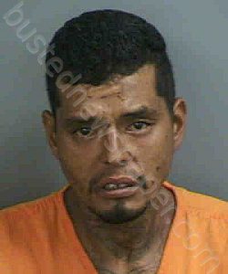 VALERO,MARCO ANTONIO | 2022-10-03 Collier County, Florida Booking