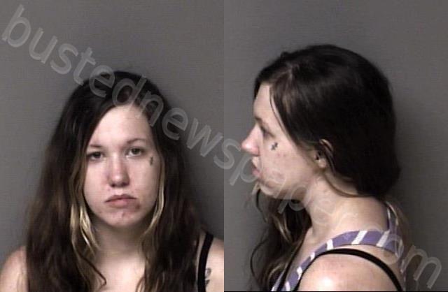 GREEN, BRITTANY RENEE #, Gaston County, North Carolina - 2022-10-04 14:58:00