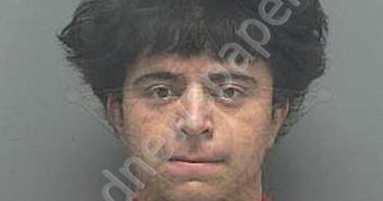 <B>GODOY</B>, <B>EMMANUEL</B> RAYMOND #, Lee County, Florida - 2022-10-04 04:02:00