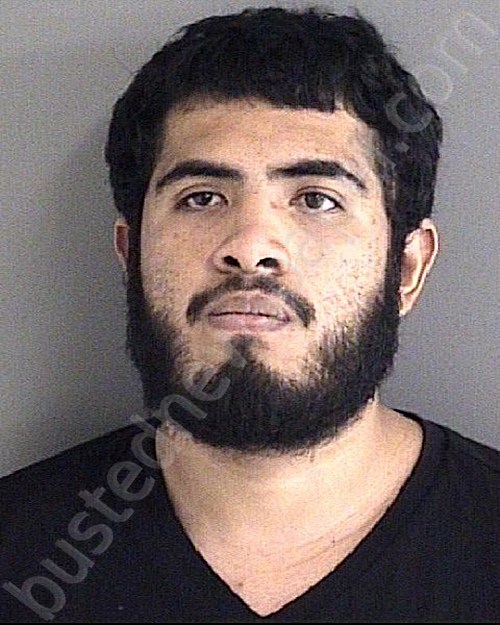SALDANA-DIAZ, JUAN MANUEL #, Story County, Iowa - 2022-10-04