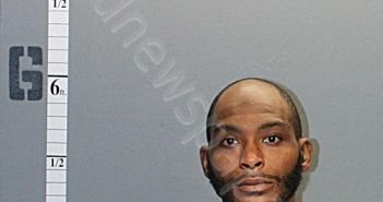 WILKINS, DESHAWN MARQUE | 2022-10-04 16:34:00 Western Tidewater, Virginia Booking