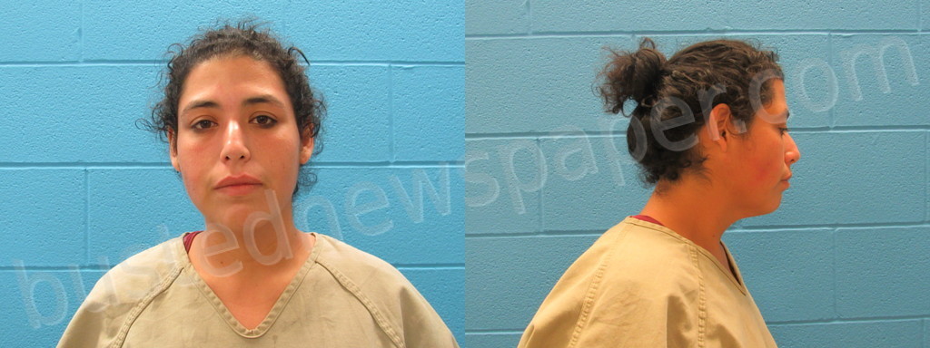 LAMM, AMBER ROSE #, Guadalupe County, Texas - 2022-10-06