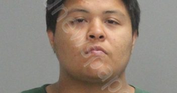 <B>ARENAS</B>, <B>ADAM</B> <B>MIGUEL</B> #, Brazos County, Texas - 2022-10-09