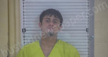 BRIDGEWATER, DAVID TAYSHAUN | 2022-10-09 01:42:00 Taylor County, Kentucky Booking