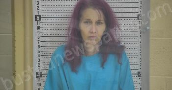 TEEGARDEN, YUELTA L | 2022-10-09 22:27:00 Taylor County, Kentucky Booking