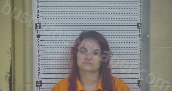 CLARK, TIFFANY R. | 2022-10-10 19:23:00 Taylor County, Kentucky Booking