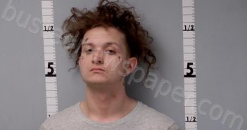 CLARK, JOHNATHON EDWIN DAVID | 2022-10-11 15:53:00 Gratiot County, Michigan Booking