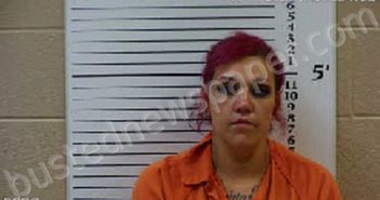 SHOOK, BROOKLYN CIARA | 2022-10-13 14:16:00 Cherokee County, North Carolina Booking