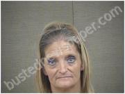 JOHNSON, KIMBERLY | 2022-10-13 Harnett County, North Carolina Booking