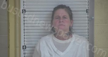 WILLETT, TONYA | 2022-10-14 18:08:00 Taylor County, Kentucky Booking