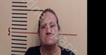 PETERSON, THERESA MICHELLE | 2022-10-14 Parker County, Texas Booking