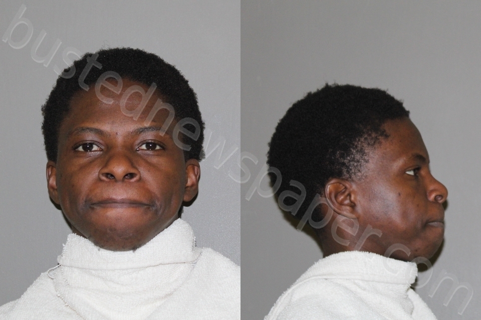 NEMBAWARE, NGONIDZASHE #, Denton County, Texas - 2022-10-15