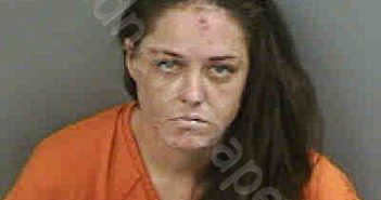 <B>WELSH</B>,<B>PAIGE</B> <B>GARRISON</B> #, Collier County, Florida - 2022-10-15