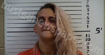 WALDROUP, PATRICA ANN | 2022-10-16 19:54:00 Cherokee County, North Carolina Booking