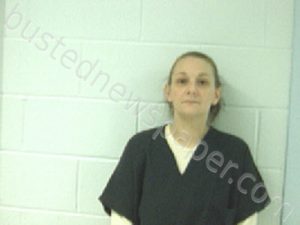 TONEY, APRIL MARGERET | 2022-10-18 11:15:00 Middle Peninsula Regional Jail, Virginia Booking