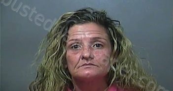 LE MAY, TRACY LYNN | 2022-10-19 05:43:57 Vigo County, Indiana Booking