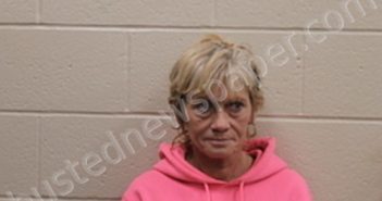 RONDA KAY OLIVER | 2022-10-19 03:30:00 Andrew County, Missouri Booking