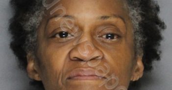 PHILLIPS, CATHY | 2022-10-20 03:37:00 Ellis County, Texas Booking