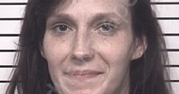 <B>WHITAKER</B>, <B>LARA</B> <B>ASHLEY</B> #, Iredell County, North Carolina - 2022-10-20 14:12:00