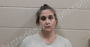NICOLE RENAE GREENE | 2022-10-20 11:00:00 Andrew County, Missouri Booking