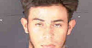 GIORGE PAVON, YATSON PAVON,YATSON EFRAIN | 2022-10-24 Sarasota County, Florida Booking