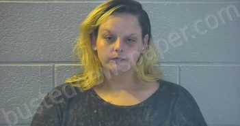 <B>HOPKINS</B>, <B>BRIDGETT</B> MICHELL #, Pulaski County, Kentucky - 2022-10-27 14:10:00