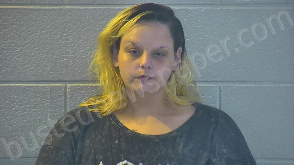 HOPKINS, BRIDGETT MICHELL #, Pulaski County, Kentucky - 2022-10-27 14:10:00