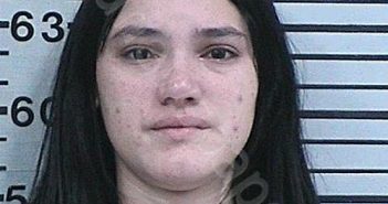 PORRERO-LEON, MARIA LYX | 2022-10-28 13:05:03 Hood County, Texas Booking