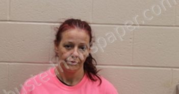 JINA WAYNETTE THOMPSON | 2022-10-28 16:58:00 Andrew County, Missouri Booking