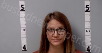 VILLANUEVA, SARAH LOUISE | 2022-10-28 12:25:00 Gratiot County, Michigan Booking