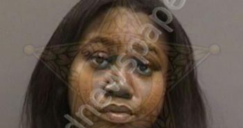 BROWN,ASHAUNTE | 2022-10-30 17:30:00 Hillsborough County, Florida Booking
