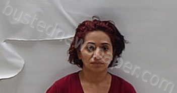 JIMENEZ CAMPO ANGIE LIZETH | 2022-11-01 Cameron County, Texas Booking