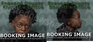 GOWINS, TADREANNA LASHANDA | 2022-11-01 16:20:00 Brevard County, Florida Booking