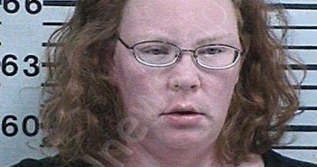 CAMPBELL, REBECCA LYNN | 2022-11-01 12:28:12 Hood County, Texas Booking