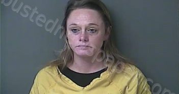 LARRISON, DANELLE NICOLE | 2022-11-01 06:19:00 Howard County, Indiana Booking