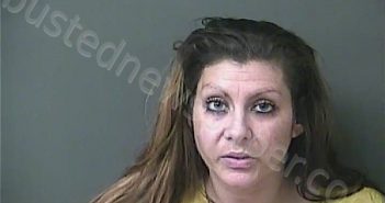 SALAZAR, KAYLIE NICOLE | 2022-11-02 12:57:00 Howard County, Indiana Booking