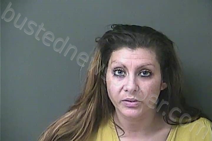 SALAZAR, KAYLIE NICOLE #, Howard County, Indiana - 2022-11-02 12:57:00