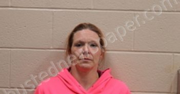 DANIELLE L DAKON | 2022-11-02 22:46:00 Andrew County, Missouri Booking