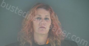 CLARK, NIKI LEANNE | 2022-11-02 01:58:00 Bedford County, Virginia Booking