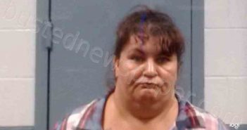 WOODRUM, ANDREA SUE | 2022-11-03 23:50:00 Lincoln County, West Virginia Booking