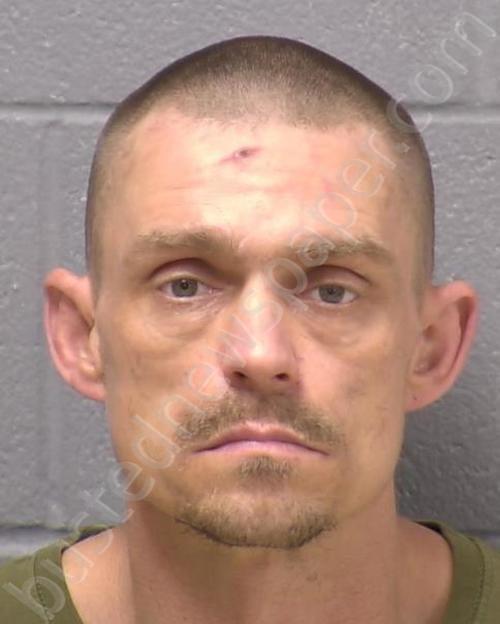 BRYANT, JERRY LEE #, Will County, Illinois - 2022-11-03 11:31:00