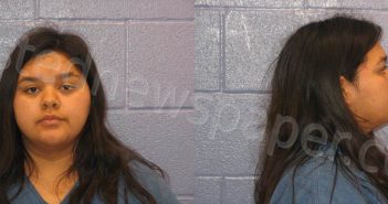 CASTELLANOS, DELIA | 2022-11-04 Andrews County, Texas Booking