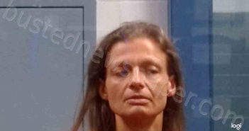 DEAN, LISA HANNAH | 2022-11-04 04:30:00 Kanawha County, West Virginia Booking