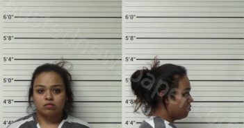 ORTEGA, NISABEL SANMIGUEL | 2022-11-04 Kerr County, Texas Booking