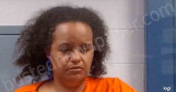 HEWITT, BRENDA LEE | 2022-11-04 05:39:00 Kanawha County, West Virginia Booking