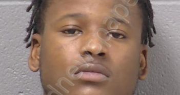 PRINCE, DARNELL N JUNIOR | 2022-11-04 14:39:00 Will County, Illinois Booking