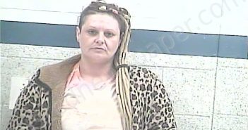 <B>SCOTT</B>, <B>ALLISON</B> <B>RENEE</B> #, Breckinridge County, Kentucky - 2022-11-04 01:05:00