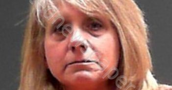 MAYHEW, VICKI LYNN | 2022-11-05 19:30:00 Marshall County, West Virginia Booking