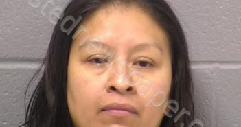 RAMIREZ-HERNANDEZ, ARACELI | 2022-11-05 02:58:00 Will County, Illinois Booking